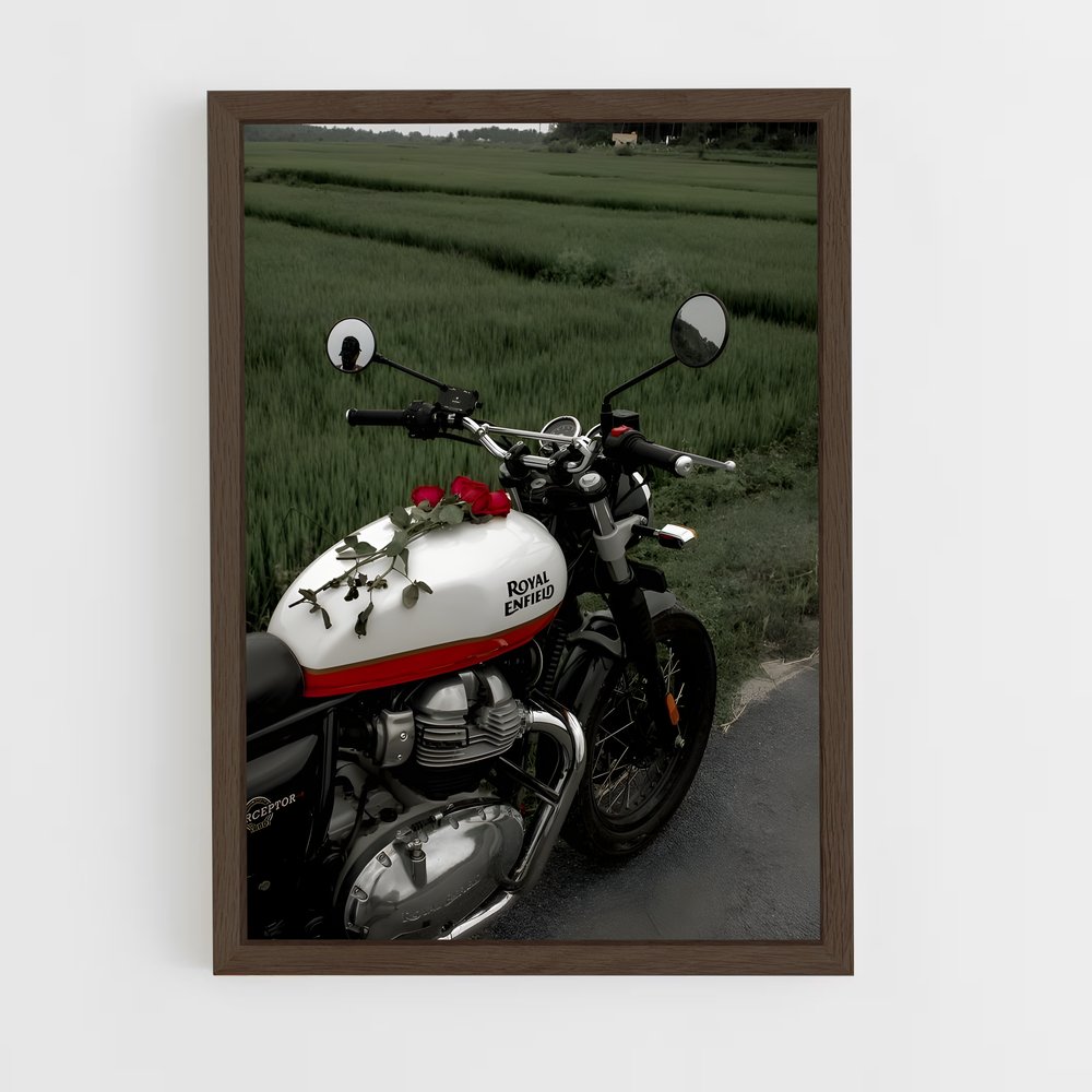 Poster Royal Enfield magnifique (vue 5)